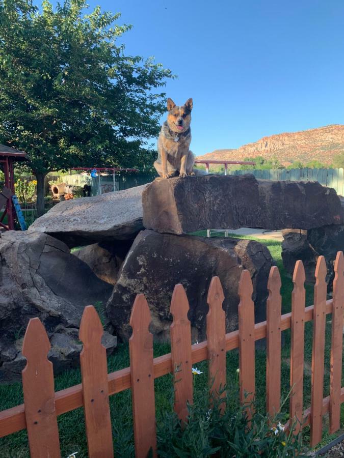 Zion'S Backyard Bed And Breakfast Colorado City Экстерьер фото